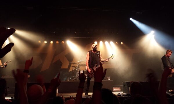 pexels-photo-416831 pexels-photo-416831